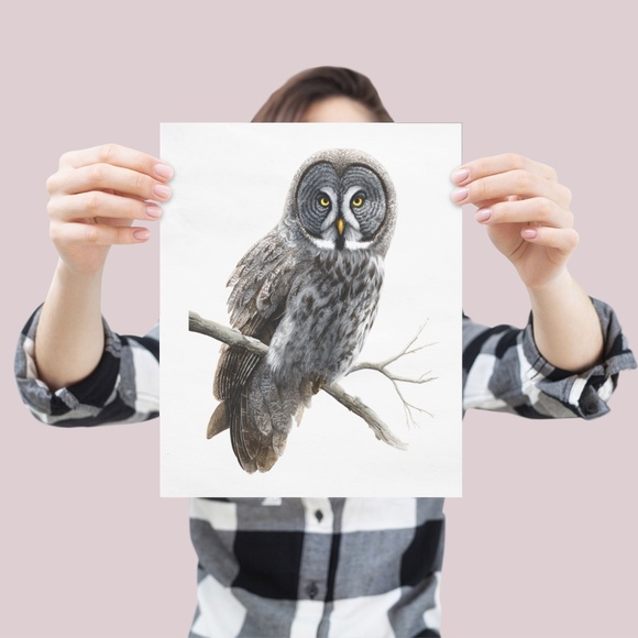 Watercolor Great Grey Owl Portrait Wall Art Print Poster, Unframed - Picture 4 of 6